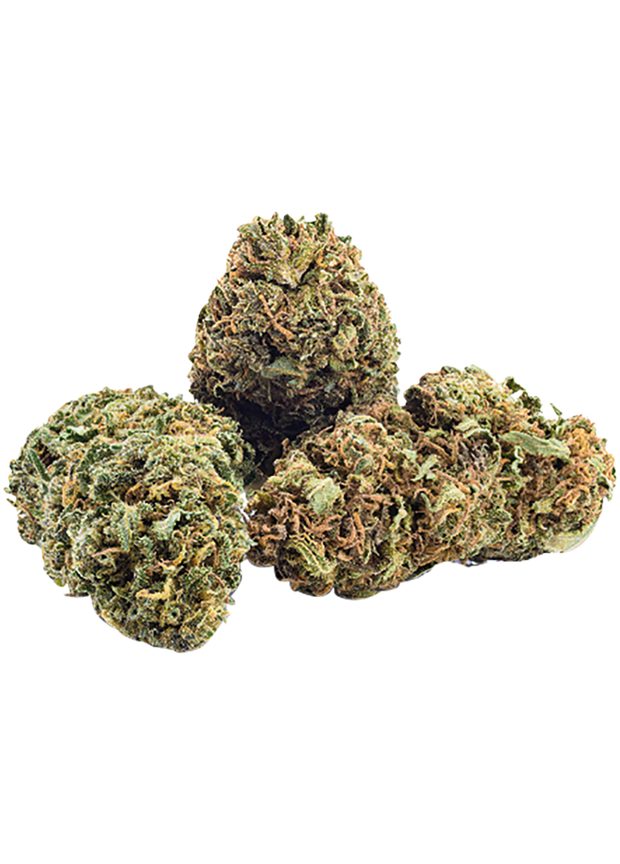 Tête de fleur de CBD