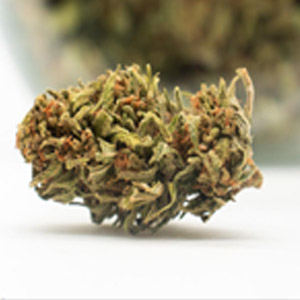 huile CBD 10%