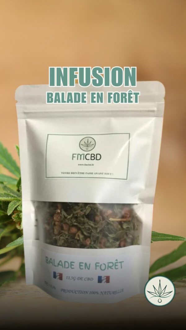 L'OFFRE IRRESISTIBLE – Image 4